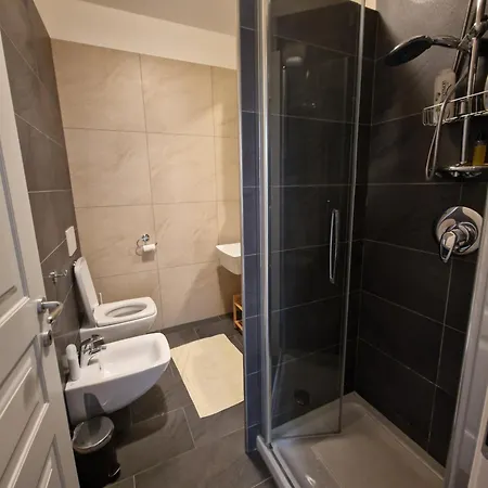 Five Roses Flat Apartment Pisa