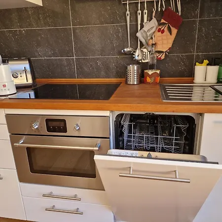 Five Roses Flat Apartment Pisa